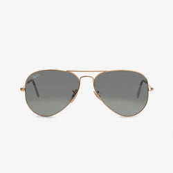 Temple Sunglasses
